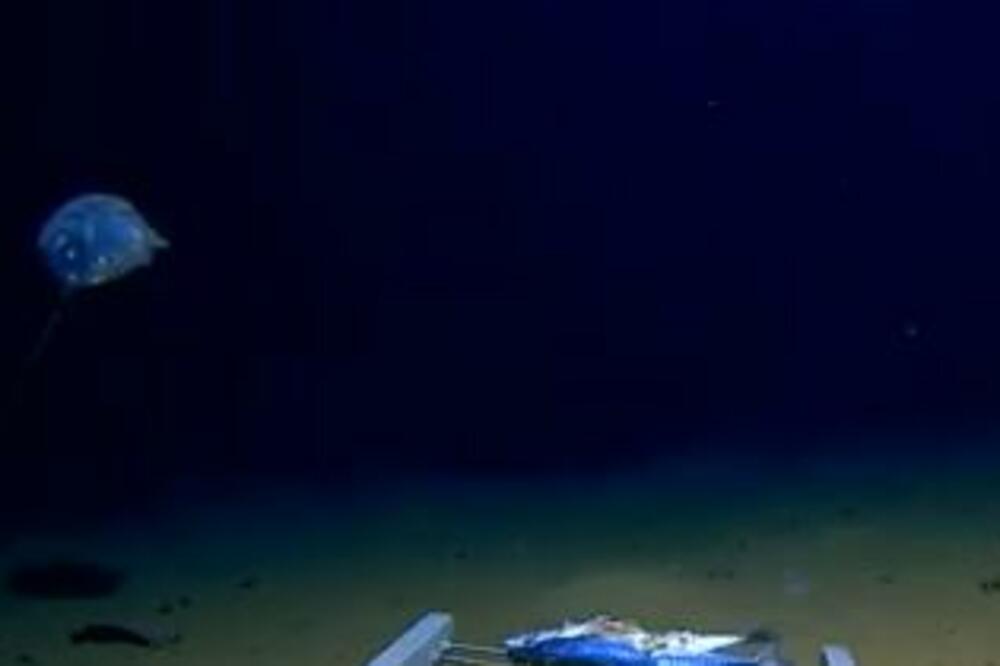 ŠTA JE BRE OVO: Kamera na DNU OKEANA snimila MISTERIOZNU NEMAN, stručnjaci U ŠOKU (VIDEO)