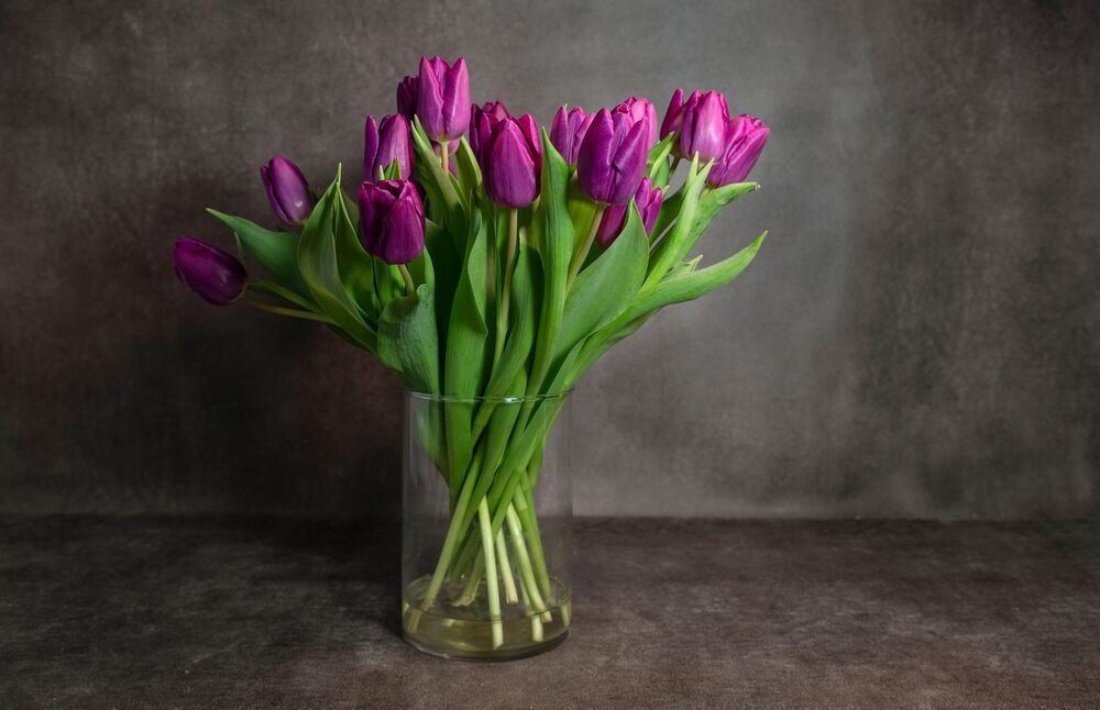 Morate redovno menjati vodu u vazi