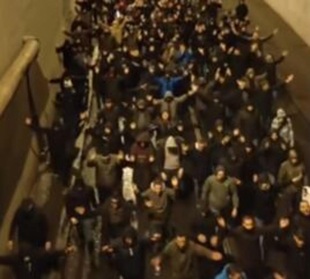 Navijači Crvene zvezde, Navijači Zvezde, Delije