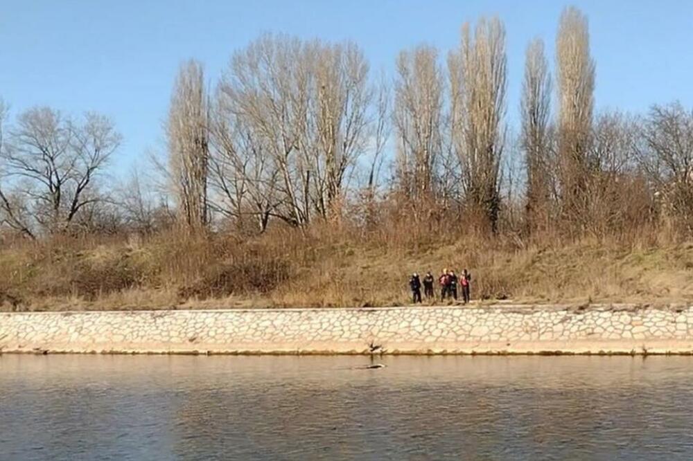 IZVUČENO TELO IZ NIŠAVE: Pojavio se i prvi snimak akcije