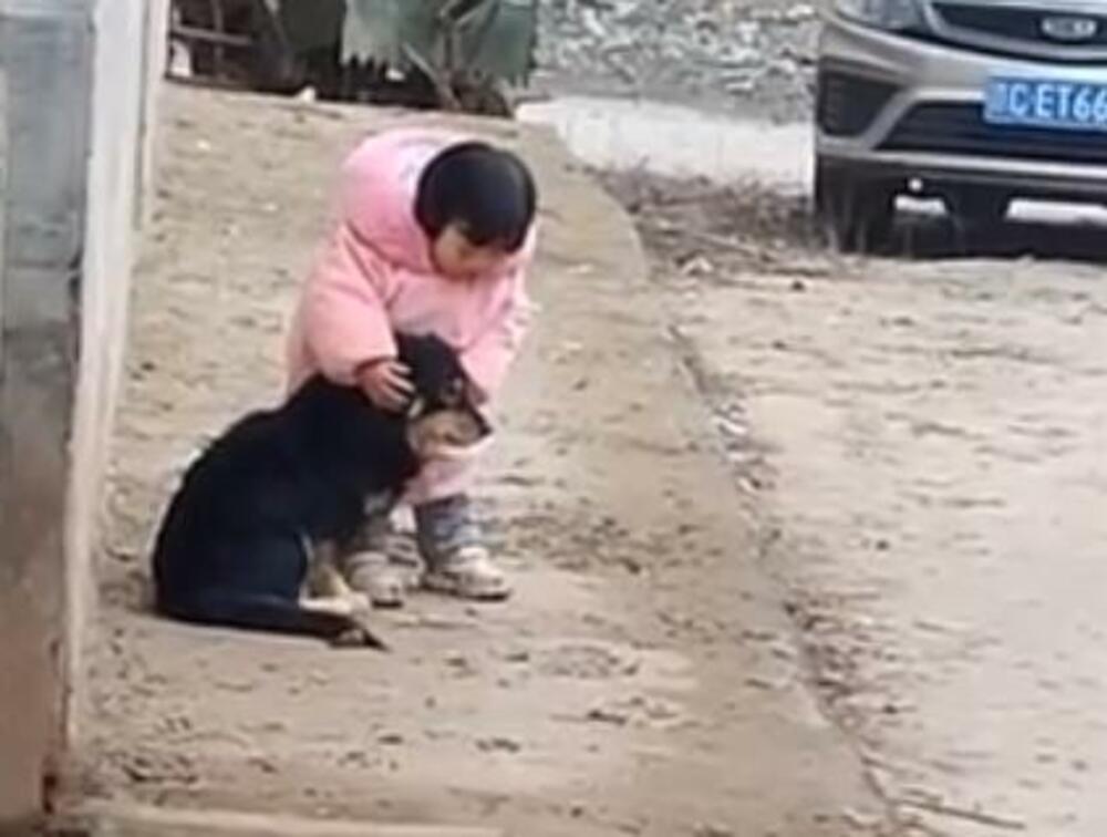 Kina, Devojčica, Pas