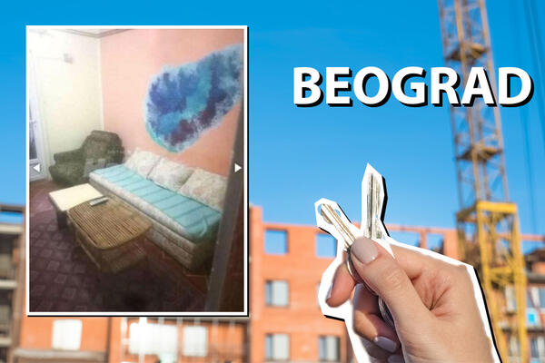 DA LI SU OVO NAJGORI PODSTANARI U BEOGRADU? Vlasnica stana zatečena PRIZOROM u sobi, SRAM VAS BRE BILO! (FOTO)