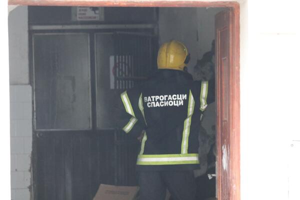 MISTERIOZNA ŽENA BACILA BOMBE U PICERIJU U DOBANOVCIMA: Mesec dana kasnije vlasnici u strahu!