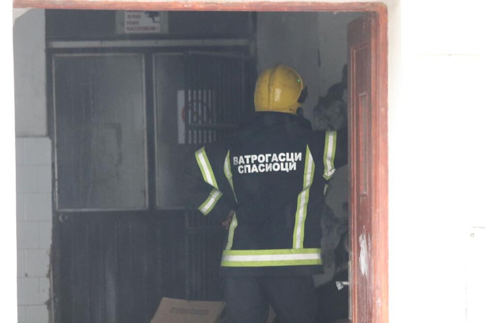 MISTERIOZNA ŽENA BACILA BOMBE U PICERIJU U DOBANOVCIMA: Mesec dana kasnije vlasnici u strahu!