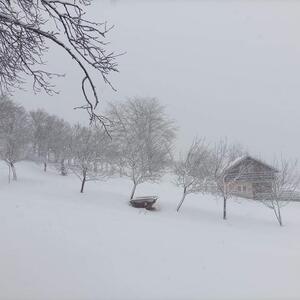 HITNO UPOZORENJE! TEMPERATURA PADA NA -10 Oglasio se Batut! Ovi građani Srbije bolje da spreme zalihe: "OPASNO JE"