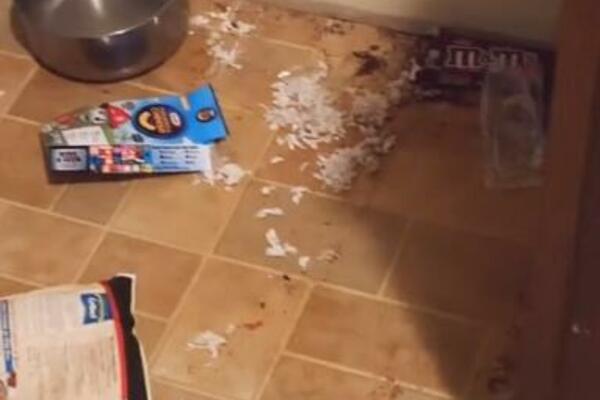 OSTAVILA DEČKA SAMOG U KUĆI, PA NIJE ZNALA ŠTA JU JE SNAŠLO KAD SE VRATILA: Pogledajte OVAJ PRIZOR, BLJAK (VIDEO)