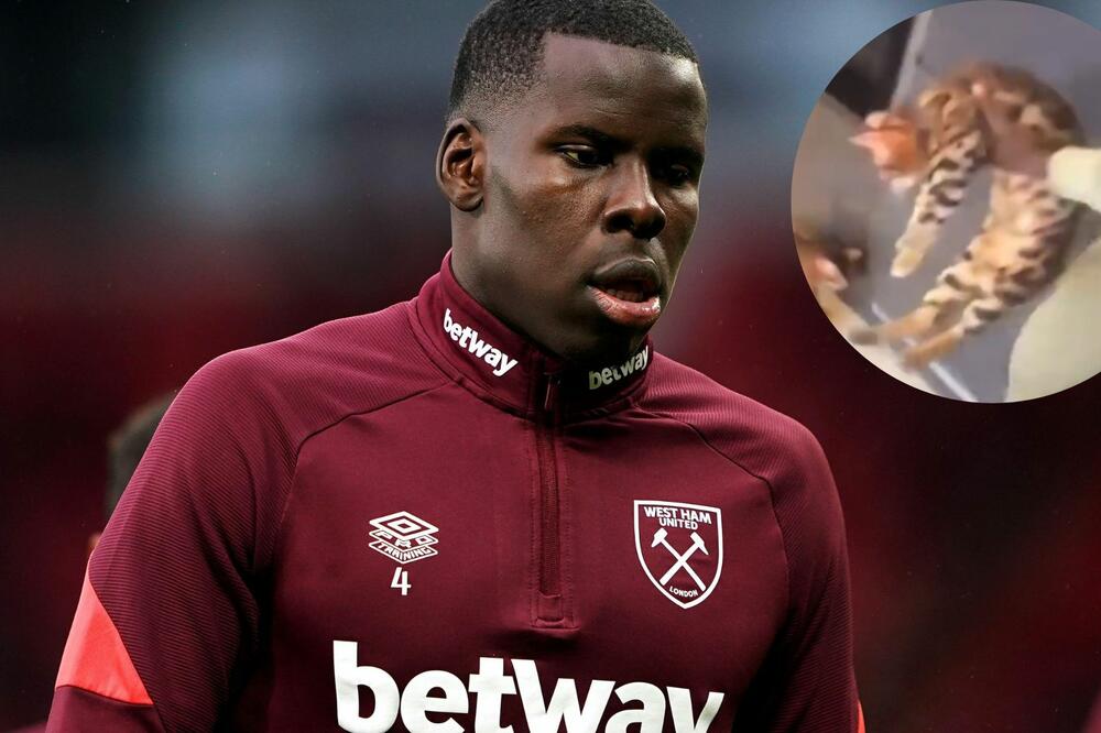 PRIZNAO: Fudbaler Vest Hema prihvatio krivicu za ZLOSTAVLJANJE MAČKE koje je šokiralo Englesku!