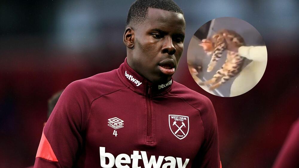 Kurt Zuma, Sport, Mačka