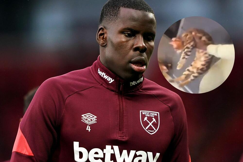 BOLESNIK! Pojavio se UZNEMIRUJUĆI snimak, POZNATI FUDBALER mučki šutira ŽIVOTINJE! (VIDEO)