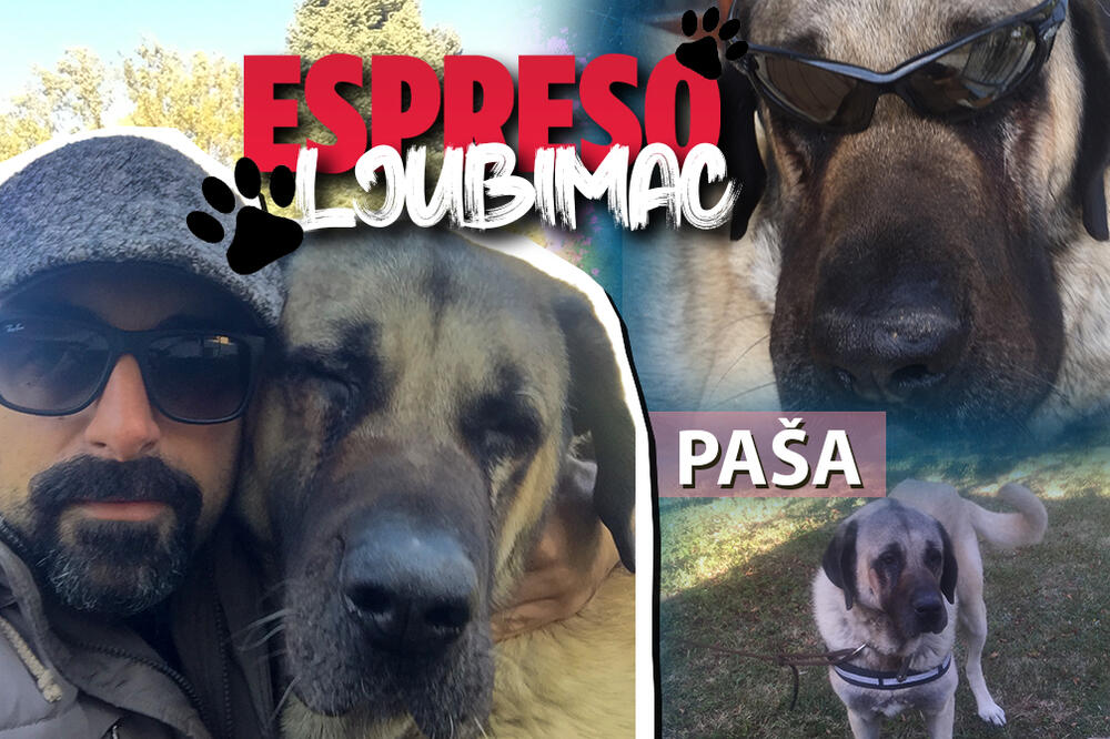 VRLO SAM POPULARAN U SVOM KRAJU: Paša je mangup iz Vrčina i TRAŽI DEVOJKU! Hajde da mu pomognemo! (FOTO)