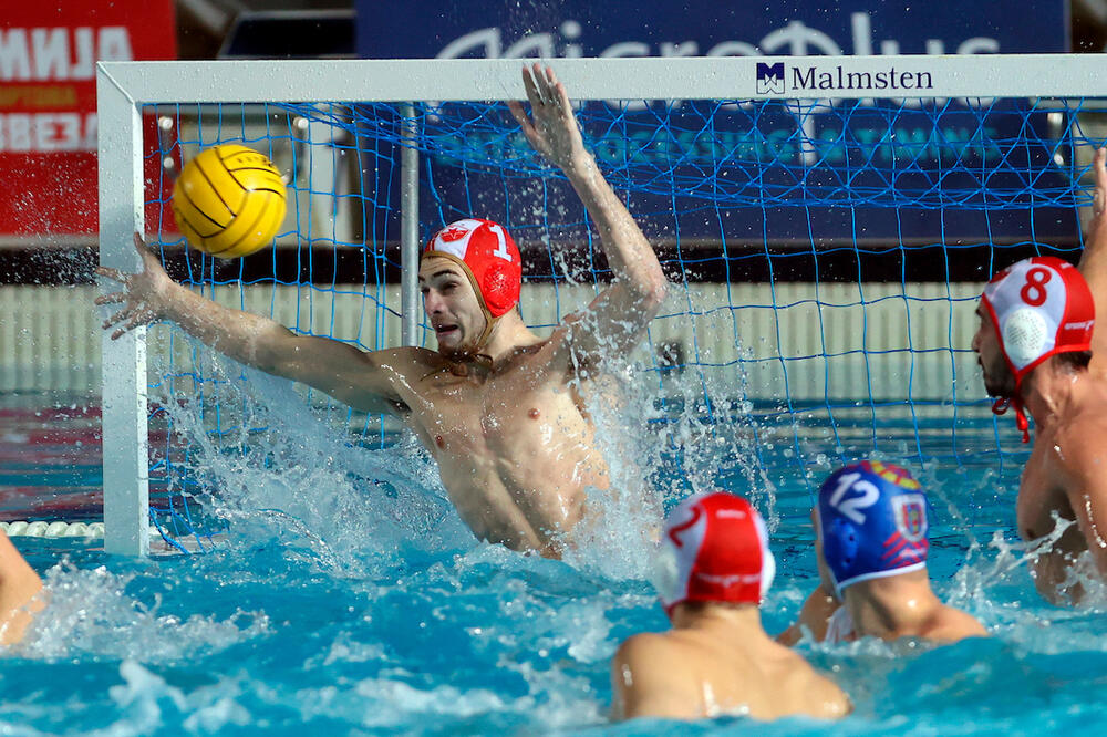 FAKTOR DEJANA SAVIĆA! Zvezda ŠOKIRALA Novi Beograd i nanela mu prvi poraz!