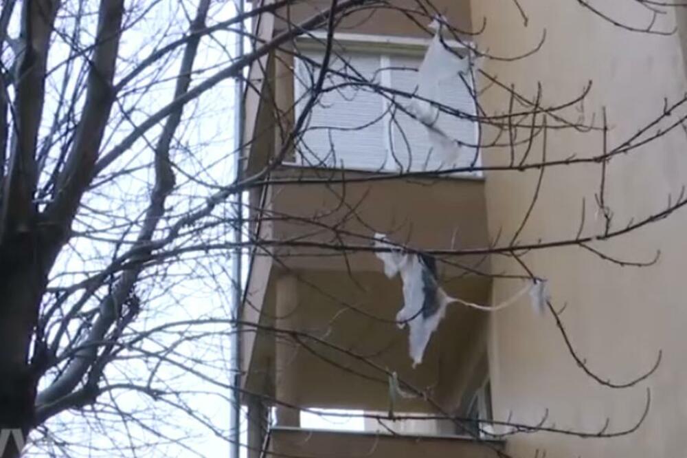 DŽABE VAM SVE, STOKA OSTAJE STOKA: Rat ovih komšija u Srbiji eskalirao, da li je moguće da ovo rade? (FOTO)