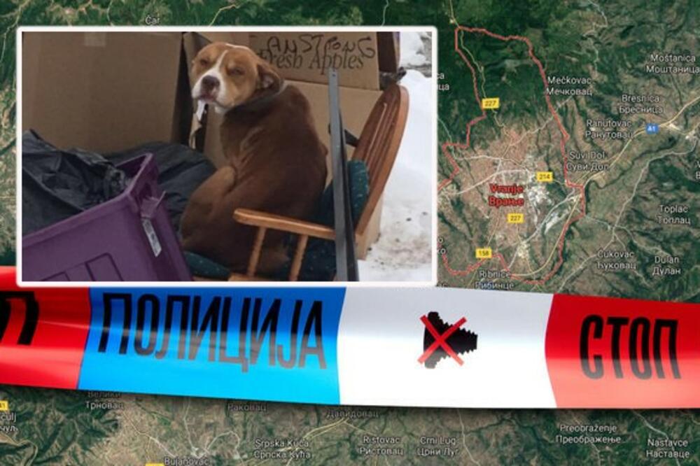 PAS VUKAO DŽAK PO VRANJU! Policija u NEVERICI gledala šta je unutra, STRAŠNO