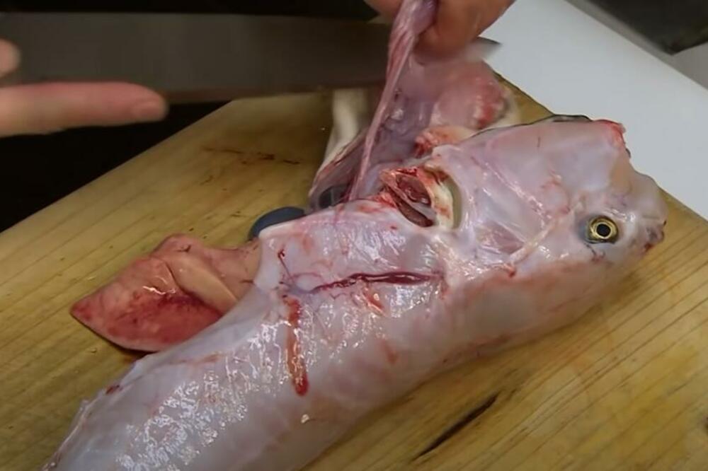 OVA HRANA VAS ZAISTA MOŽE UBITI! Ni ne pomišljajte da je jedete