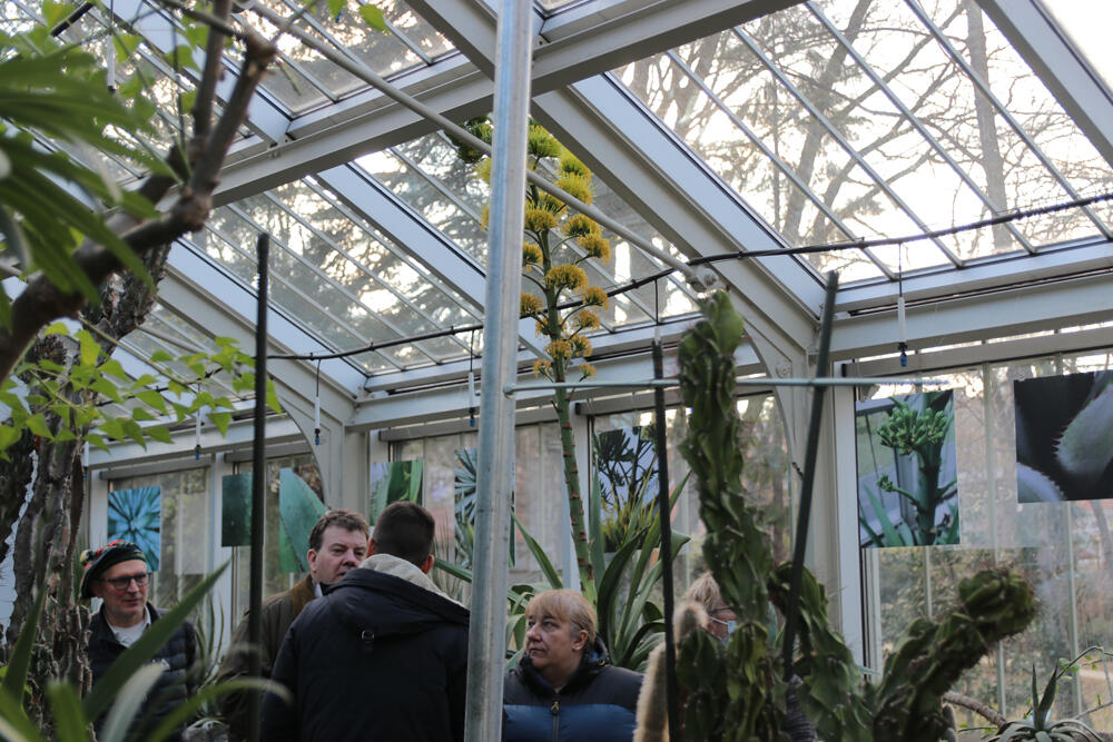 Botanička bašta, Jevremovac