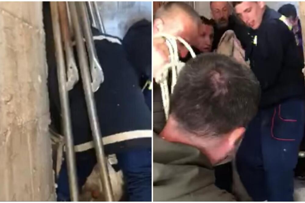 PRONAĐEN ODBEGLI LAVIĆ IZ BUDVE! Konačno je LOCIRAN, pogledajte trenutak njegovog HVATANJA (FOTO/VIDEO)