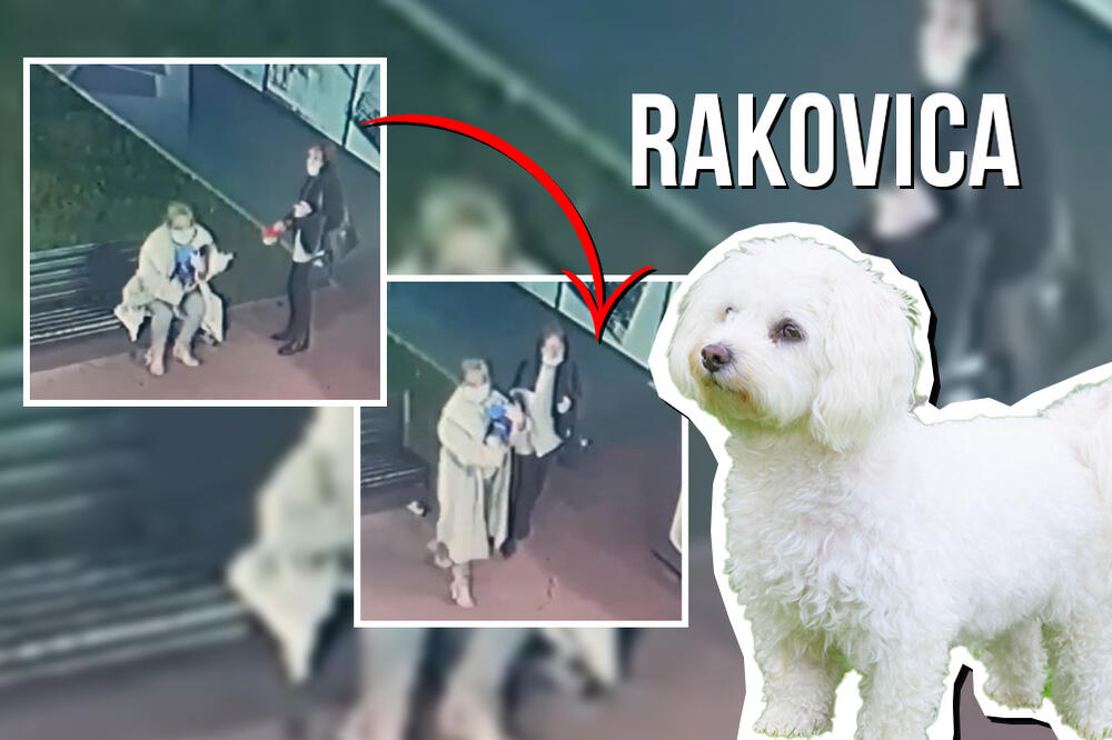 ŽENTURAČE ODVRATNE, KAKVI ĐAVOLI HODAJU ZEMLJOM! Snimak iz Rakovice RAZBESNEO ljude, zašto, bre? (VIDEO)