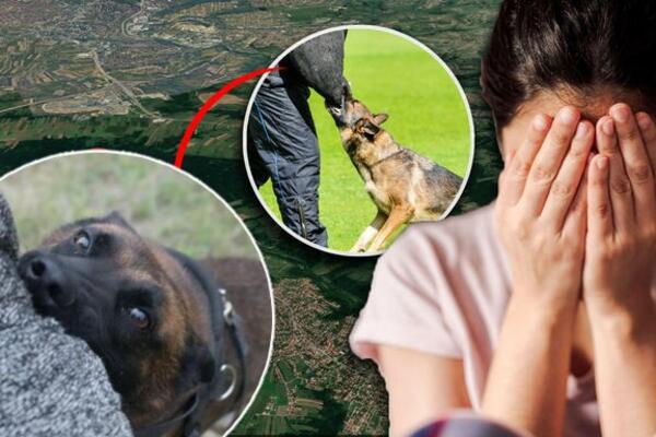 EVO KAKVO JE STANJE IZUJEDANE ŽENE I DETETA KOD NIŠA: Sve učestaliji napadi pasa u Srbiji