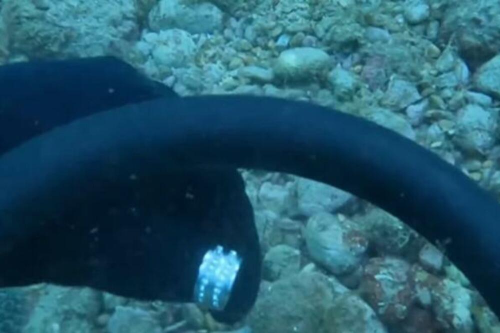 "NA NJEMU NEŠTO PIŠE, ONA ĆE ZNATI ŠTA" Podvodni ISTRAŽIVAČ našao PRSTEN i sada traži VLASNICU (VIDEO)