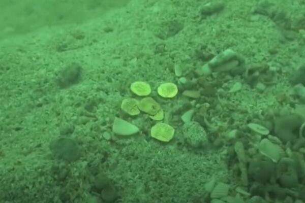 BORBA ZA BOGATSTVO! 2 DRŽAVE POLAŽU PRAVO NA PLEN: Ko će dobiti BLAGO potopljene galije SAN HOZE? (VIDEO)