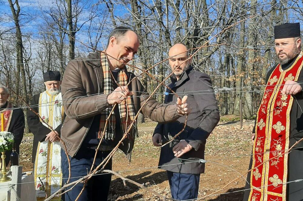 PRINC MIHAILO KARAĐORĐEVIĆ ČUVA TRADICIJU SVOJIH PREDAKA: Pred Sretenje orezao prve grančice!