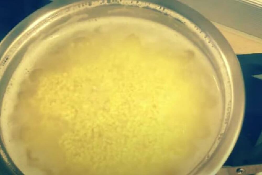 MNOGI VOLE DA JEDU OVU ŽITARICU, ALI NEMAJU POJMA KAKO SE PRAVILNO KUVA: Iznenadiće VAS NAČIN PRIPREME