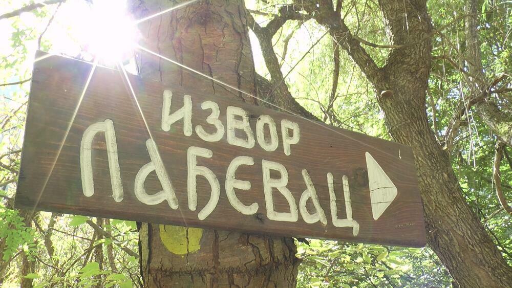 Izvor, Voda, Bajna Bašta, Lekoviti izvor