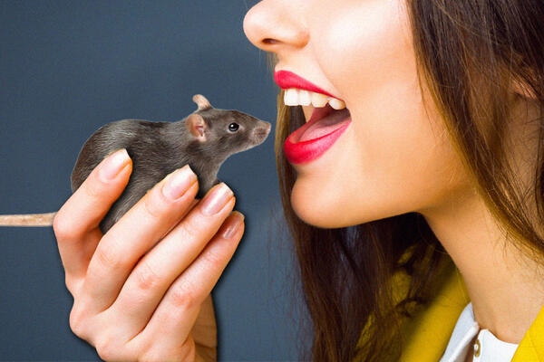 POZNATA MANEKENKA IZVADILA PACOVA I POJELA UŽIVO U EMISIJI! VIDEO