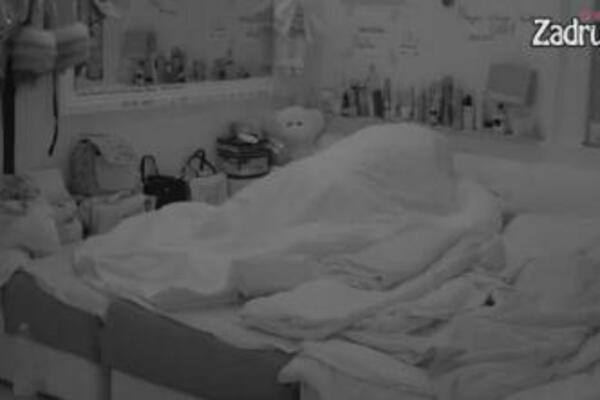 DALILA I CAR TOKOM BRUTALNOG VOĐENJA LJUBAVI SKAKALI DO VRHA ZADRUGE: Ona obažava da TO RADI dok je GORE!