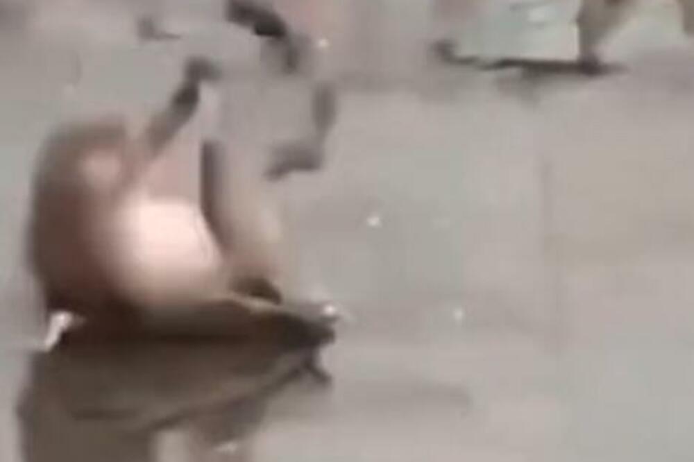MAJMUN RAZBIO DU*E PA DOŽIVEO TRANSFER BLAMA: Ovo je sve što treba da vidite DANAS (VIDEO)
