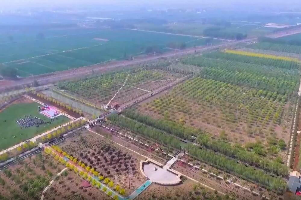 Kina: Ukupna vrednost sektora šumarstva i travnjaka dostići će 9 biliona juana do 2025. VIDEO
