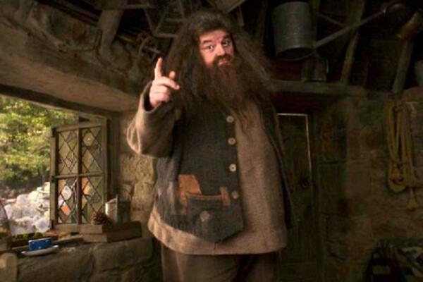 OMILJENI DŽIN DOBRICA IZ NAJPOPULARNIJE BAJKE HARI POTER OSTAO U KOLICIMA I SPAVA U ŠTALI: Ovako živi Hagrid!