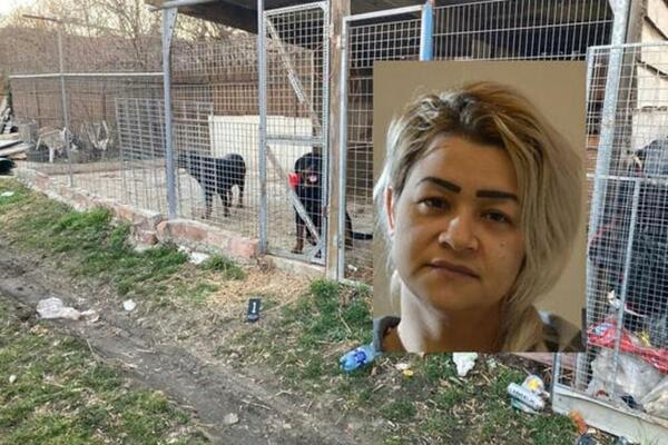 POLICIJU DO MUČITELJKE PASA IZ SRBIJE DOVELI DRUGI SRBI: Držala životinje u podrumu na zabačenoj farmi u Austriji!