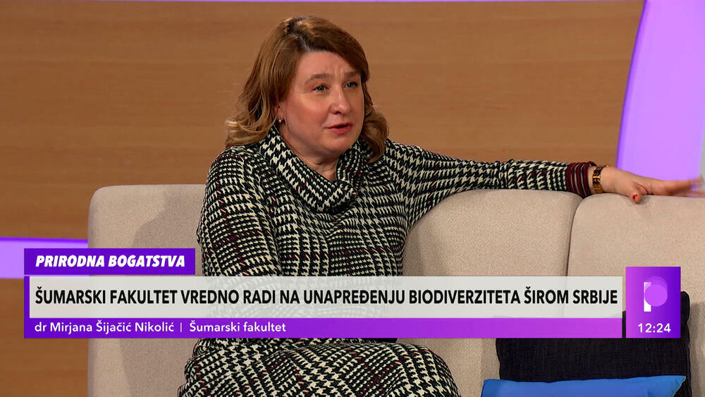 Mirjana Šijačić Nikolić