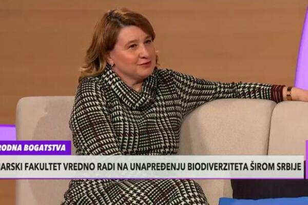 ŠUMAMA KOŠUTNJAKA PRETI IZUMIRANJE! Prof. dr Mirjana Šijačić Nikolić otkrila na koji način će one biti spasene