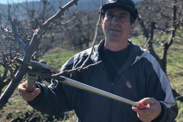 BRANKO ZA 10 DANA ZARADI NEČIJU PLATU: Posla preko glave, dnevnica 50 EVRA, ali NEMA ko da RADI! (FOTO)