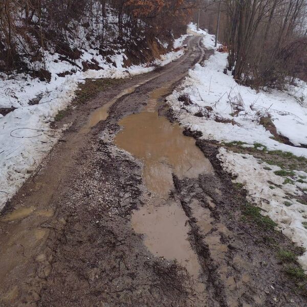 Zbog ovoga smrt vreba na putevima u Srbiji! Spada u krivična dela, a kazne mogu biti milionske