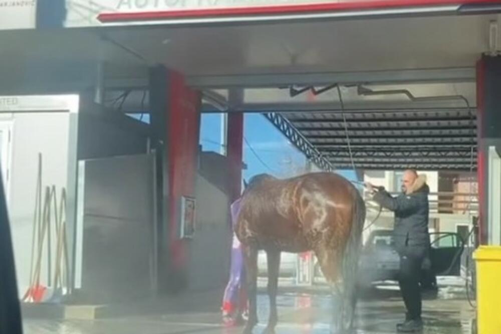 I ON KONJA ZA TRKU IMA: Neviđen prizor u autoperionici! Uzeo je pištolj za pranje auta i ŠOKIRAO POTEZOM (FOTO)