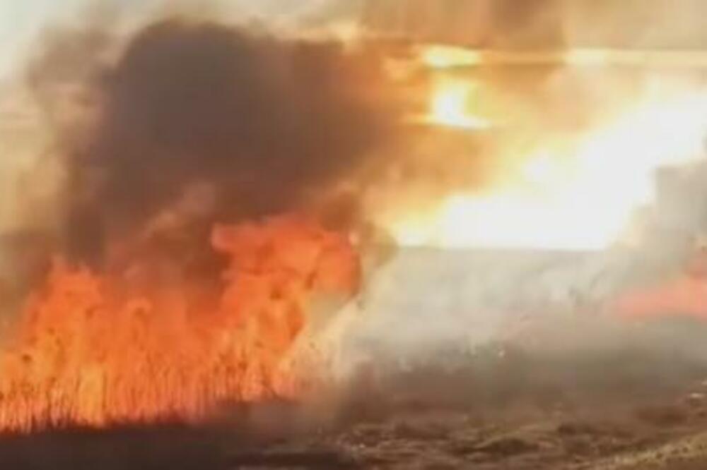 NOVA VATRENA STIHIJA U FUTOGU: Ponovo gore NASIP i RIBNJAK, vatrogasci NA TERENU (VIDEO)