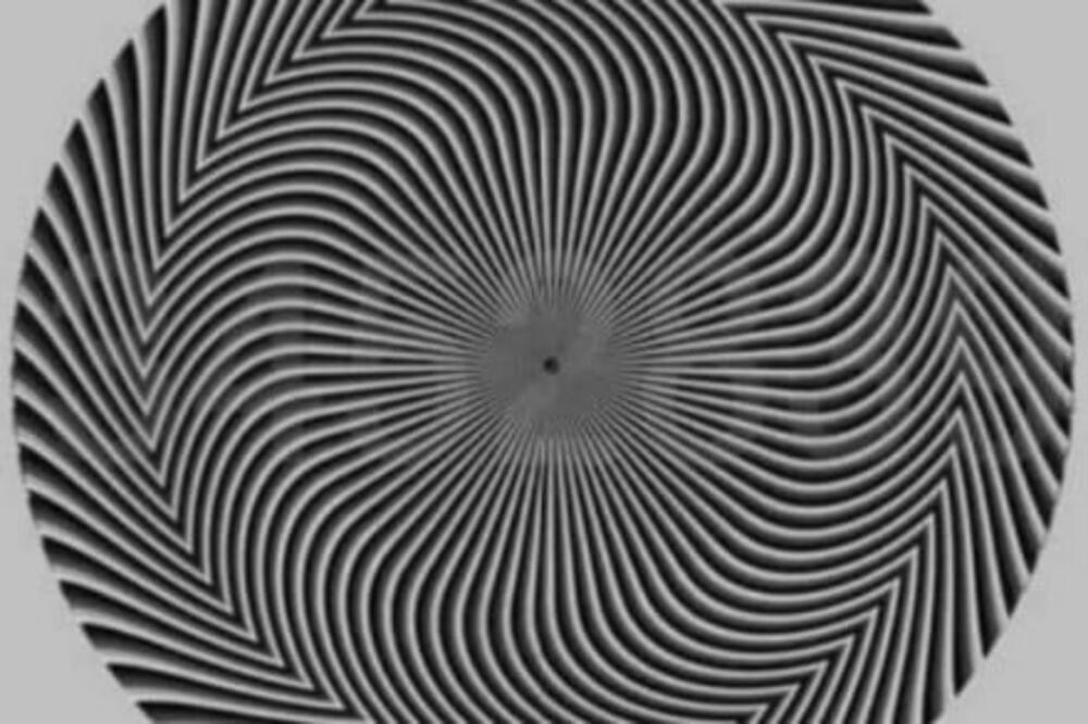 KOJI BROJ VIDITE NA SLICI? Optička iluzija ZALUDELA svet, gledaju u istu SLIKU, a vide drugačije STVARI! (FOTO)