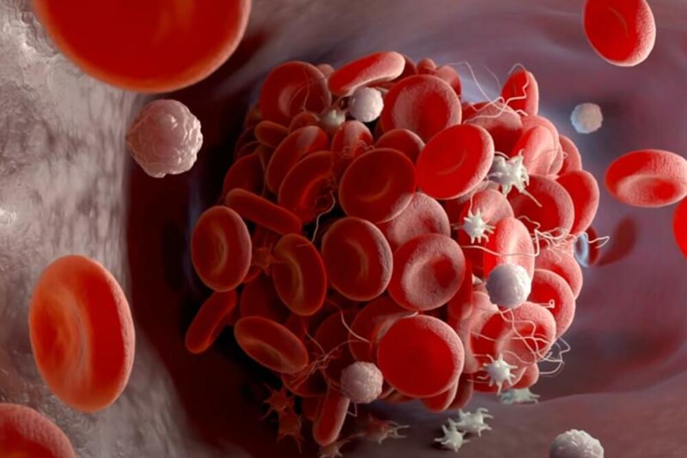 NAUČNICI OTKRILI NAJVEĆU BAKTERIJU NA SVETU: Da čovek pretrne od STRAHA, saznali nešto ŠOKANTNO