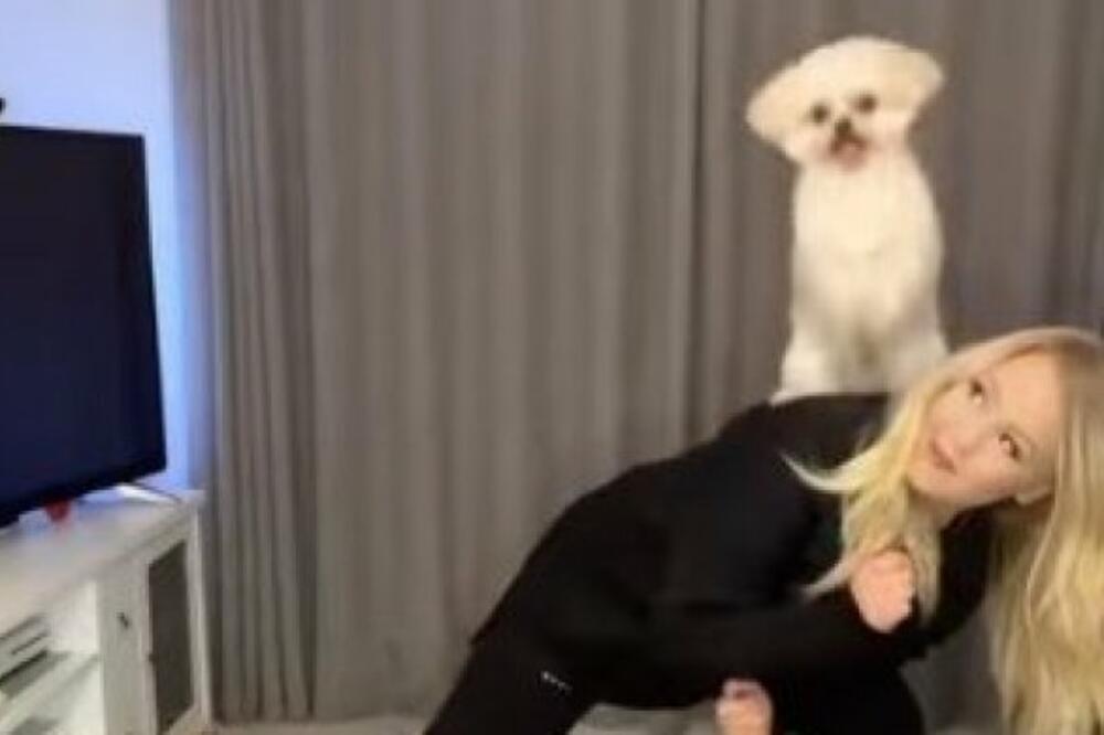 OVAJ PAS IZVODI NEVEROVATNE AKROBACIJE: Najsposobniji ljubimac je NEODOLJIVO SLADAK! (VIDEO)