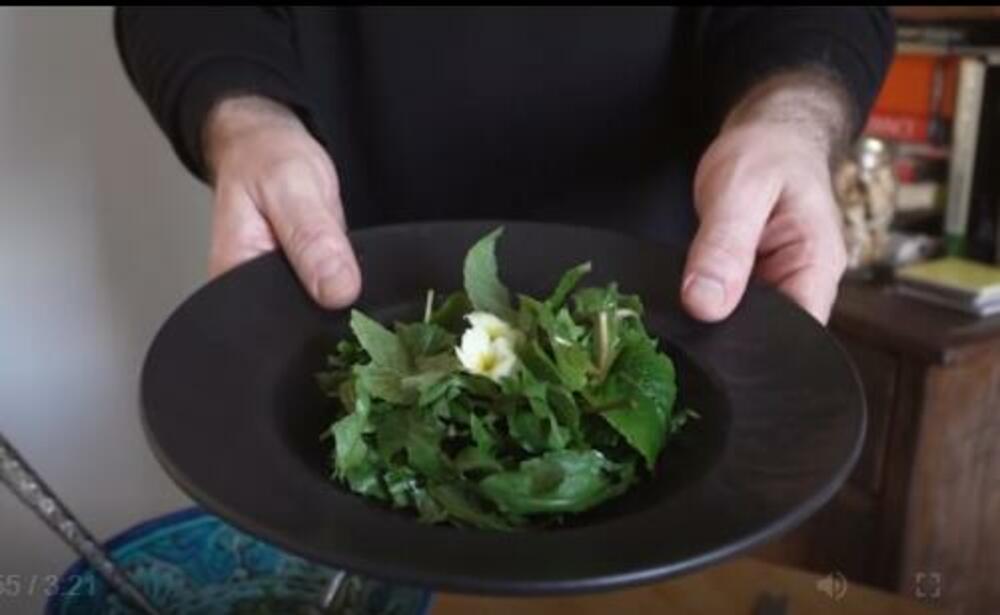 Ova salata podstiče rad jetre i čisti organizam! Zovu je "divlji detoks", pazite samo šta radi organizmu