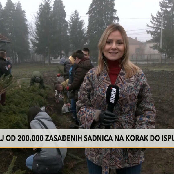 VELIKA NEDELJA ZA AKCIJU ZASADI DRVO! Na korak do ispunjenja cilja od 200.000 sadnica: Kreću iz Kraljeva!