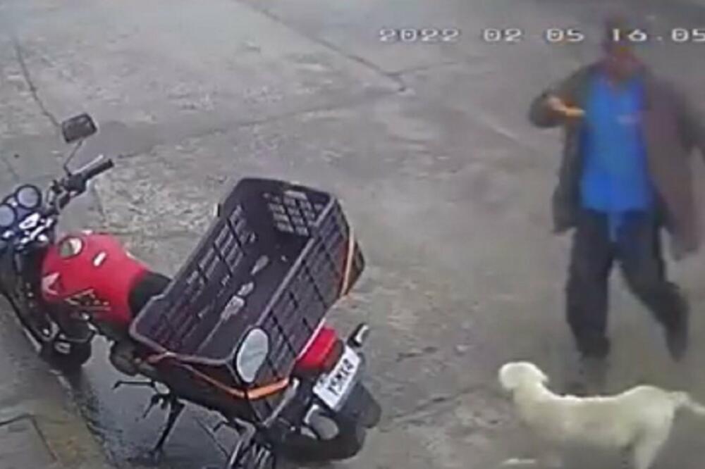 KARMA JE KUČKA! Hteo je iz čista mira da ŠUTNE psa, pa mu se desilo ono zbog čega se ceo svet smejao (VIDEO)