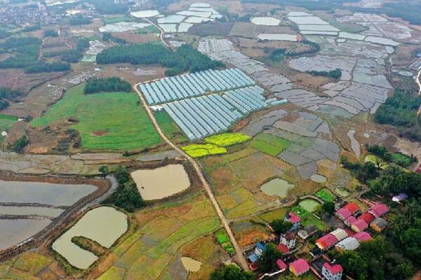 PLAN Kineski centralni dokument broj 1 obećava revitalizaciju sela