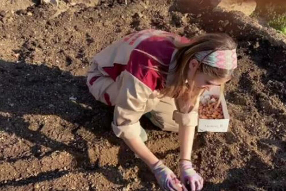 DANAS JE NAŠA POZNATA GLUMICA I SVI UZDIŠU ZA NJENOM LEPOTOM, A NEKADA JE MORALA DA ŽIVI U KONTEJNERU: Otkriveno