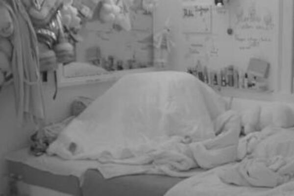 DALILA I CAR TRESLI SPAVAĆU SOBU PRED SVIMA: Zajahala ga od GORE, pa krenuli da se "VOLE" SATIMA!