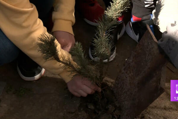 VELIKA EKOLOŠKA AKCIJA! Prvaci svih osnovnih škola Srbije imaju priliku da ZASADE SVOJE PRVO DRVO