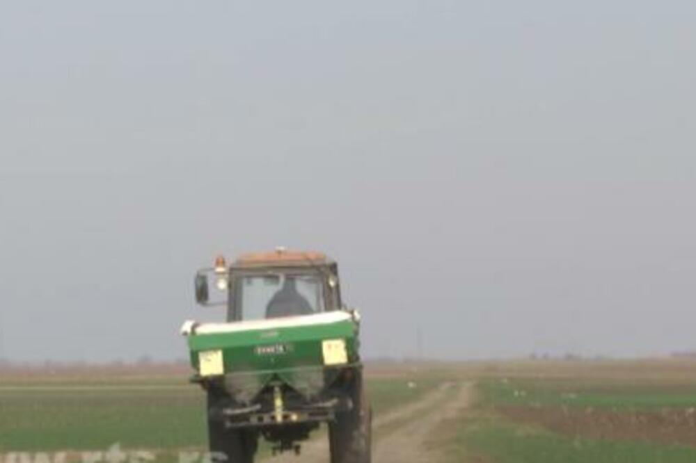 I BERZE PŠENICE DESTABILIZOVANE ZBOG UKRAJINE: Evo kakvo je stanje u Srbiji